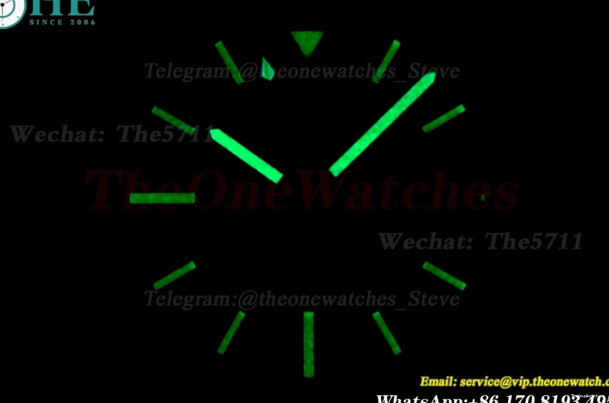 Blue A2824 Stk SS 43mm SS TF Avenger 0210